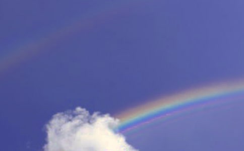 �P(gu��n)�ڲʺ��Ψ������310��