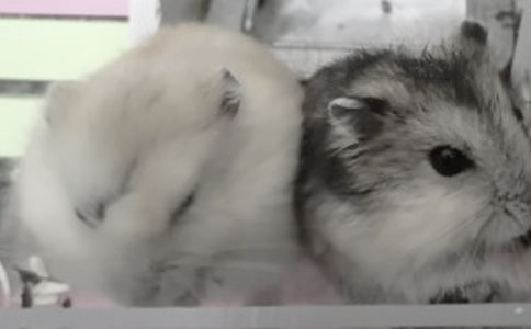 С�}������[��(y��u)��]