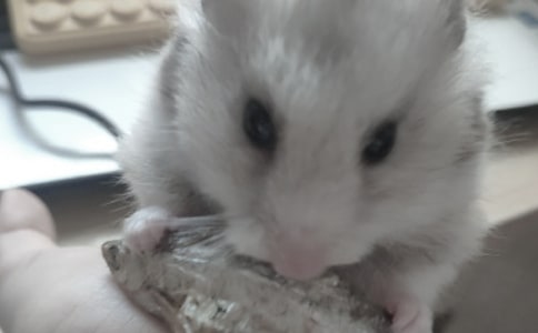 �}(c��ng)���^(gu��n)����ӛ