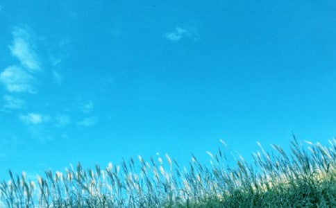 ��һ�|���L(f��ng)����15ƪ����(y��u)�㡿