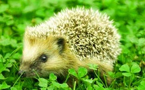 ����u�Ǻ��J���D��Ԓ�����x15ƪ��