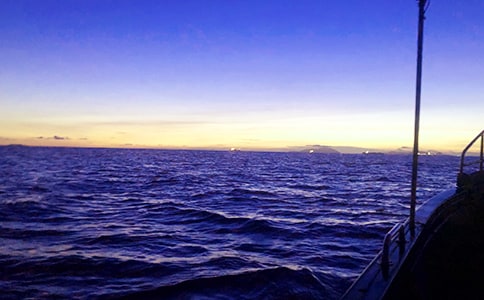 【熱門】大海作文600字4篇