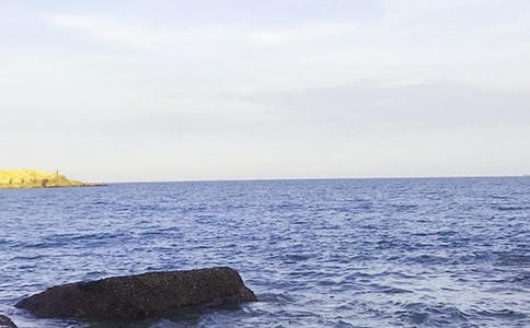 ������600��5ƪ