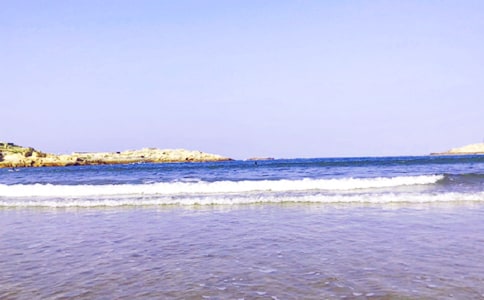 [�ϼ�]��׌����������