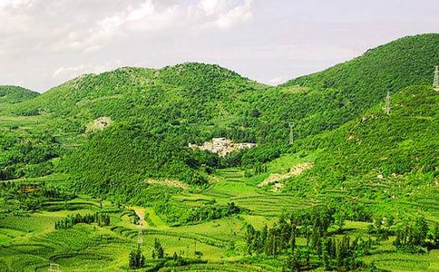 ���P(gu��n)��ɽ����1000��