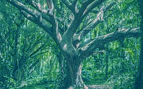 ����(y��u)�㣩��������15ƪ