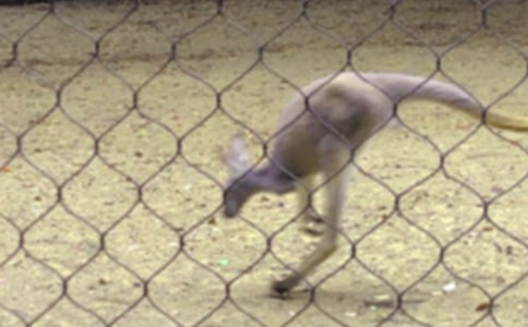 ���������15ƪ(����)