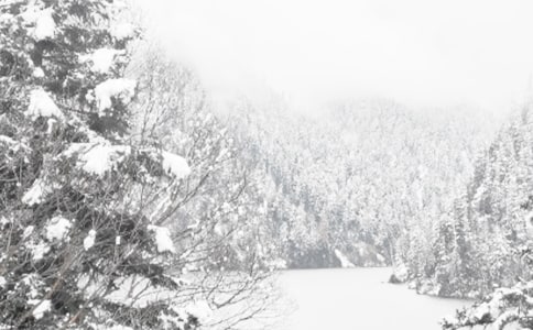 ������ȫ���R