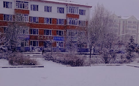 冬日暖陽作文15篇【優(yōu)秀】