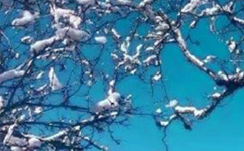 ���ݶ�����ꃞ(y��u)����������Щ