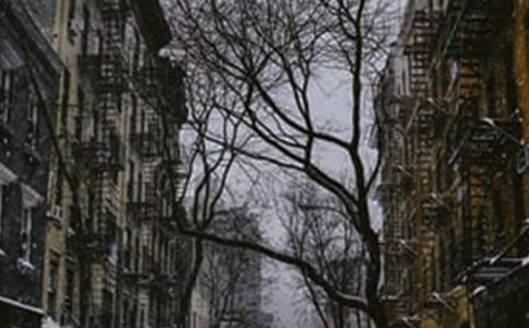 ����(j��)�ϵĶ��졷�x��У�ͨ��22ƪ��