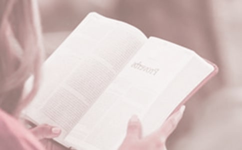 �����x��(sh��)�ն���