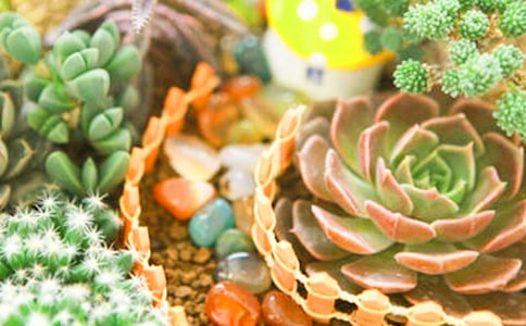 �ҼҵĶ������ă�(y��u)��(9ƪ)