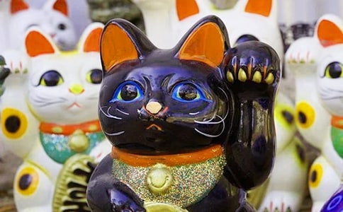 528��ף��Ұl(f��)ؔ(c��i)?sh��)Ķ��?0��