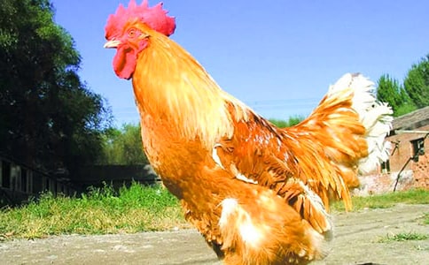 [��]���u����15ƪ