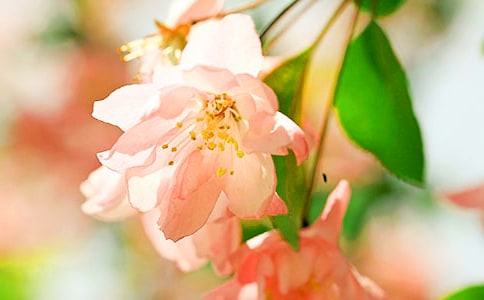 �����~���ġ��^��С��R��15ƪ��