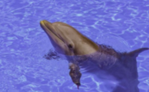 ������������ġ��؂䡿