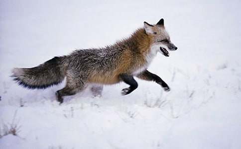 ���ᣩ���f�ͺ�؂�Ĺ���15ƪ