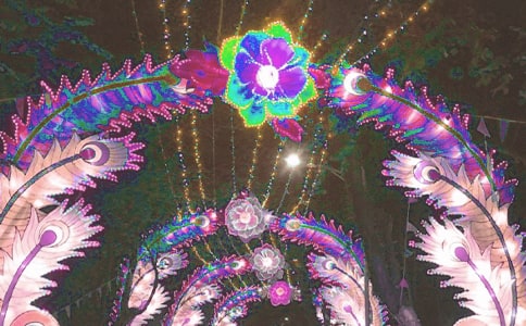 花燈作文600字(優(yōu)秀3篇)