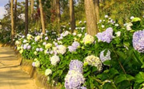 �λ��@����