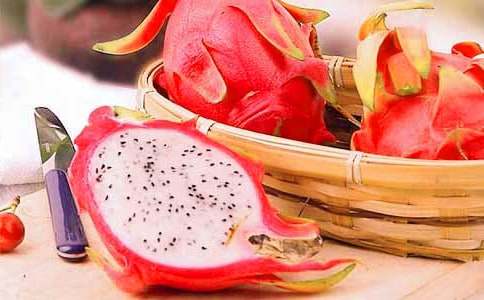 ����������15ƪ����(y��u)��