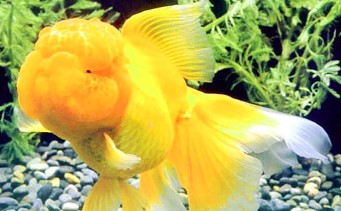 С���~���ă�(y��u)�㡾12ƪ��