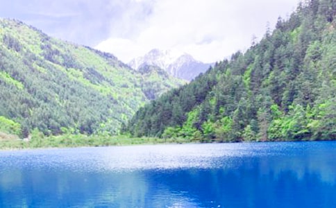 �ξ�կ������15ƪ[����]