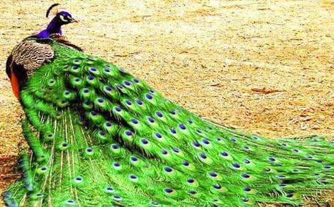 �x����ȸ�|���w���и�