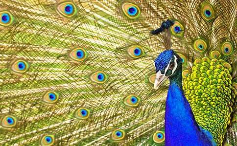 ��ȸ�|���w�p����ȫ[6ƪ]