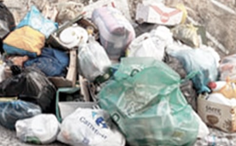 撿垃圾作文集合(15篇)