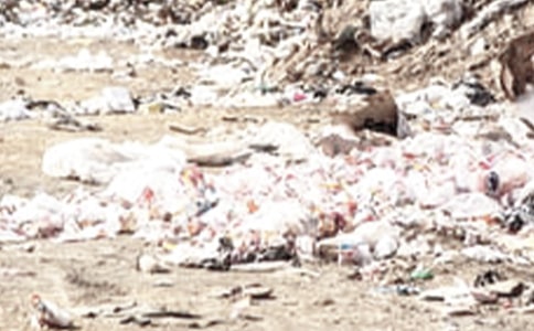 ����(j��ng)�䣩����������15ƪ