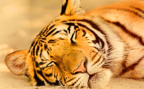 ��С�ϻ��v�Uӛ���x���