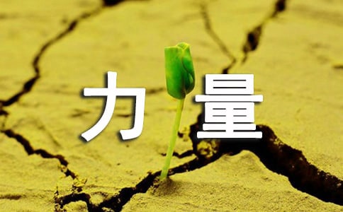 �ČW(xu��)����������