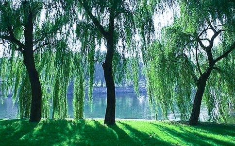 �茑���䄂�l(f��)ѿ�ă�(y��u)���Ķ̾�