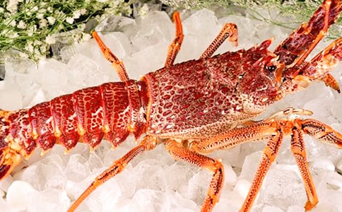 С���r������