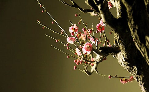 ��÷����Ԋ(sh��)