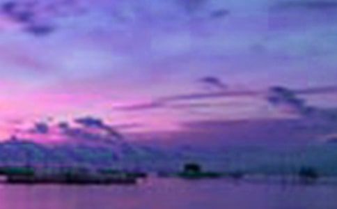 ɽˮ������Ԋ��