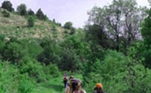 關(guān)于爬山的日記六篇