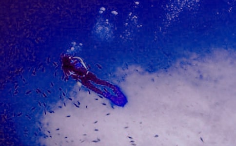 ��ˮ�����ģ��R��15ƪ��