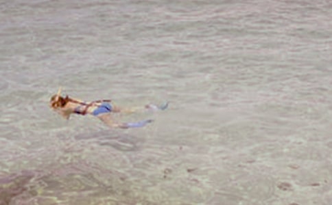 ��ˮ�����ķ���[15ƪ]