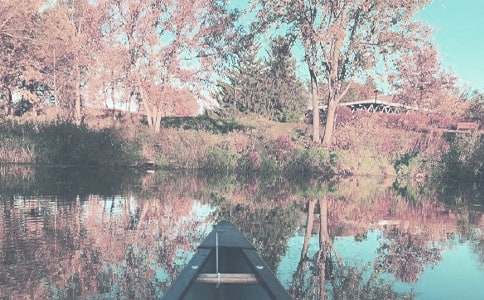 �����x���＾����Ӌ(j��)���ϼ�8ƪ