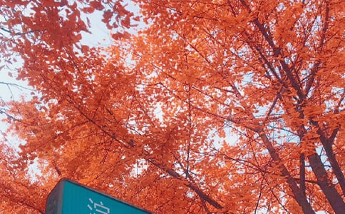 ���Ճ�(y��u)������