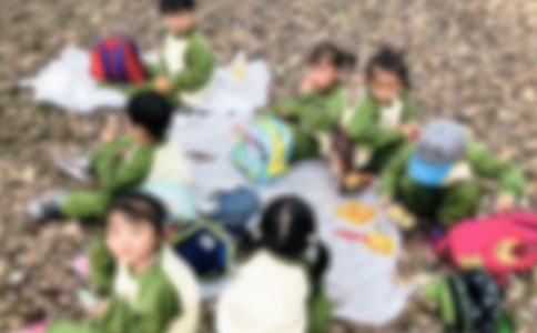 秋游活動總結(jié)15篇