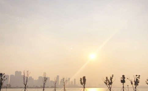 日出作文實用【15篇】