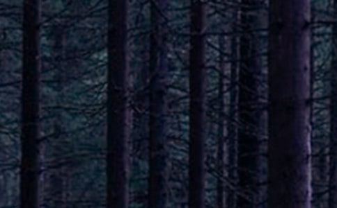 ��ɭ�ֈ��x��Ѓ�(y��u)�x