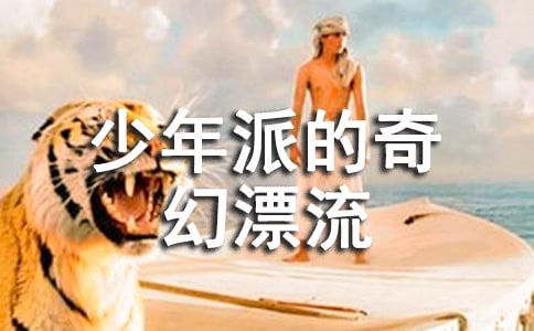 《少年派的奇幻漂流》觀后感(精選15篇)