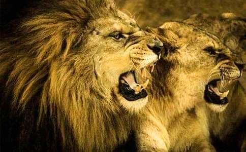 �{�����^��У�ͨ��27ƪ��