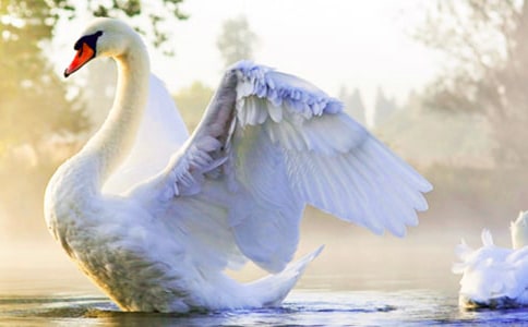 ��С̖�����Z�x���ͨ��15ƪ