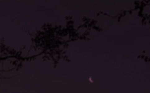 [ͨ��]�������Z��(j��ng)��2ƪ