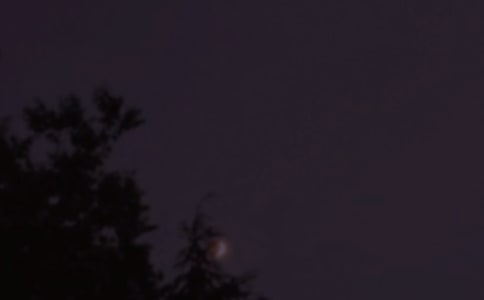 �P(gu��n)�������������f�f�R�������x60�䣩